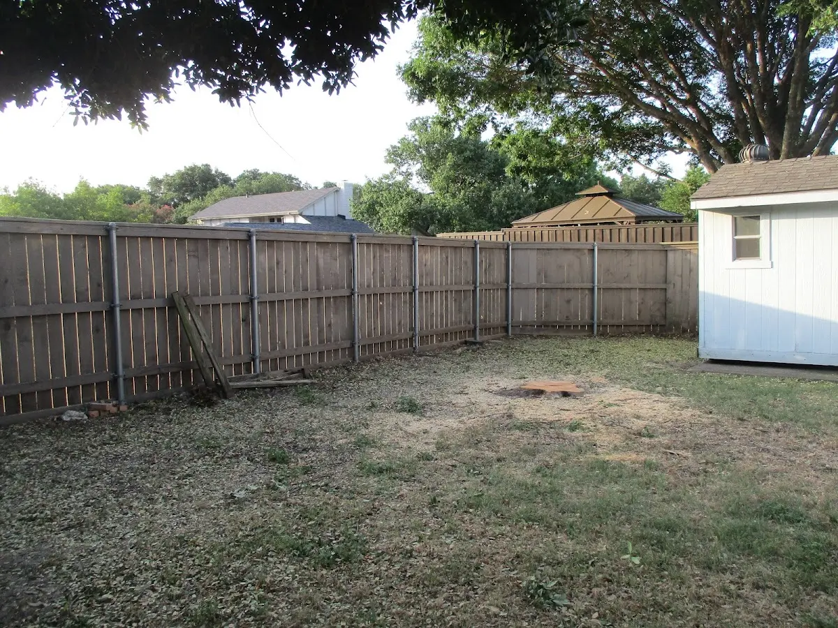 Cleared yard after professional tree removal in Quinault