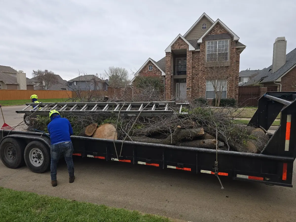 Expert Tree Fertilization with proper safety equipment in Quinault